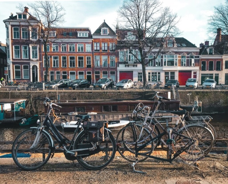 Insights into the Dutch culture
